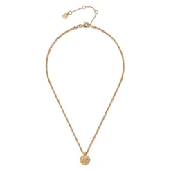 Ancient Lion Pendant Necklace