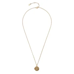 Ancient Wings Locket