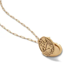 Ancient Wings Locket