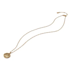 Ancient Wings Locket