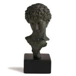 Head Of A Youth Sculpture