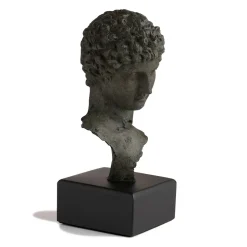 Head Of A Youth Sculpture