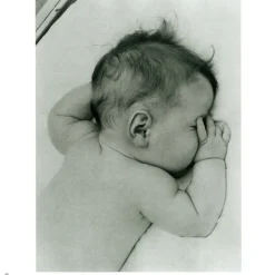 Lullabies Songbook And Cd