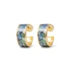Van Gogh Irises Enamel Hoop Earrings